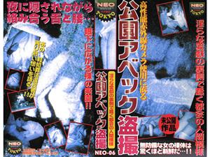 野外・露出,盗撮・のぞき